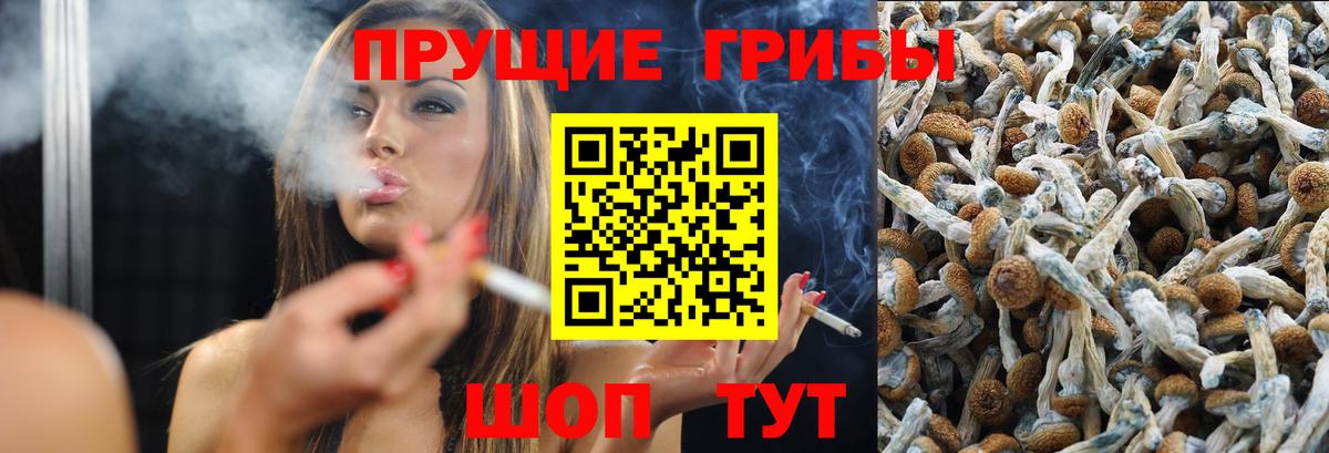 купить наркотик  Псилоцибиновые грибы прущие грибы  Вход с VPN  Воскресенск 